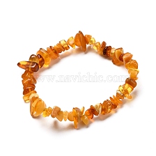 Natural Amber Chip Beads Stretch Bracelet for Kid