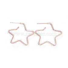 Brass Stud Earrings, with Ear Nuts and 925 Sterling Silver Pin, Star