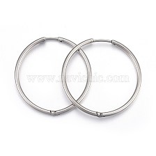 304 Stainless Steel Huggie Hoop Earrings